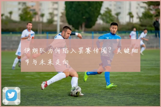 伊朗队为何陷入罢赛传闻？关键细节与未来走向