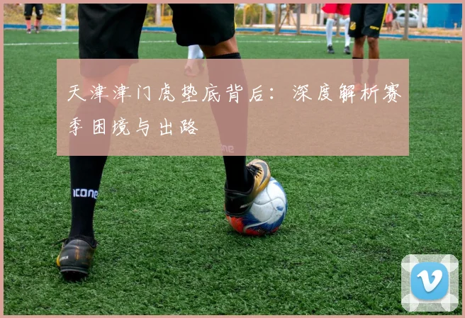天津津门虎垫底背后：深度解析赛季困境与出路