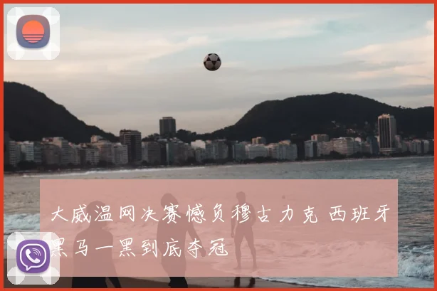 大威温网决赛憾负穆古力克 西班牙黑马一黑到底夺冠